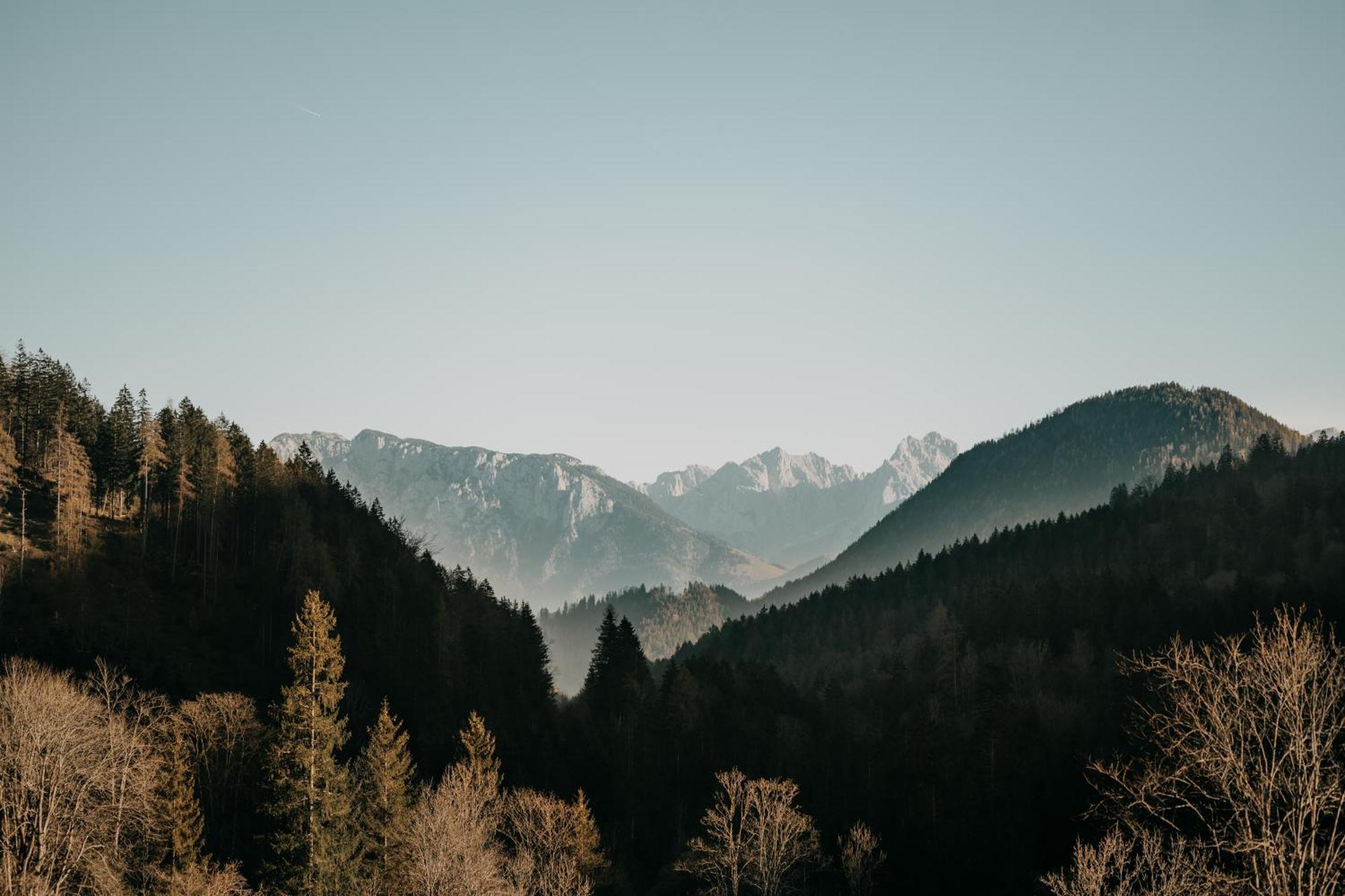 Feuriger Tatzlwurm Otel Bayrischzell Dış mekan fotoğraf